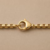 Luxe box chain