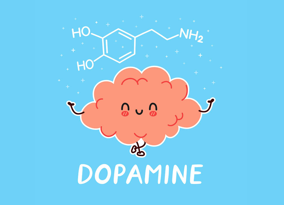 Breaking A Dopamine Loop
